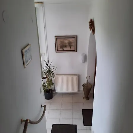 Anna Vendeghaz Homestay *