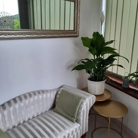 Anna Vendeghaz Homestay *