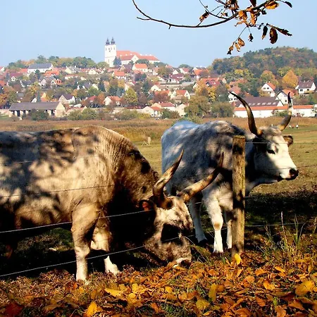 Homestay Anna Vendeghaz *