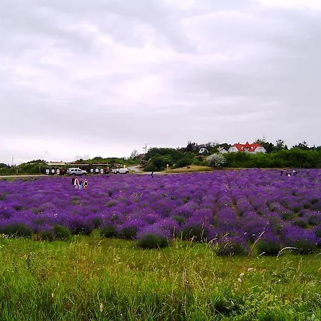 Homestay Anna Vendeghaz Tihany